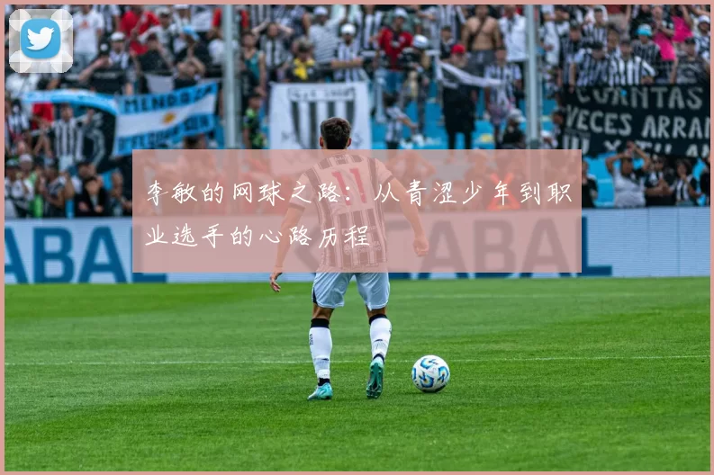 李敏的网球之路：从青涩少年到职业选手的心路历程