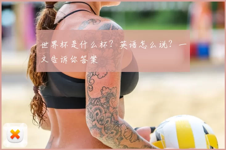 世界杯是什么杯？英语怎么说？一文告诉你答案