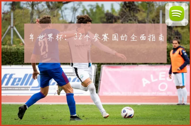 年世界杯：32个参赛国的全面指南