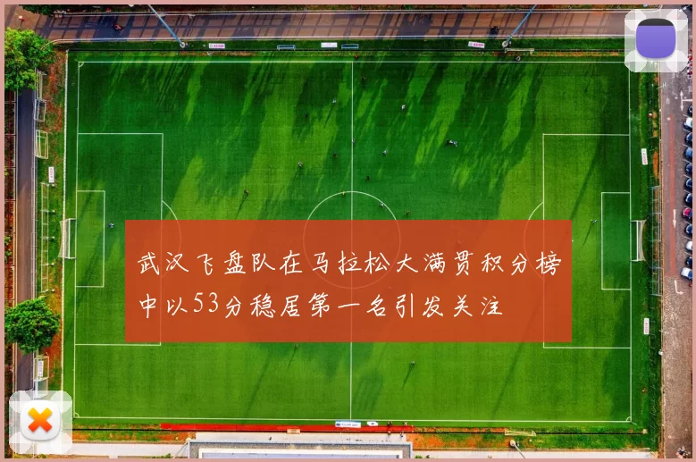 武汉飞盘队在马拉松大满贯积分榜中以53分稳居第一名引发关注
