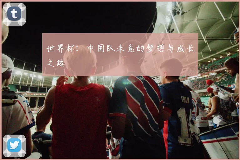世界杯：中国队未竟的梦想与成长之路