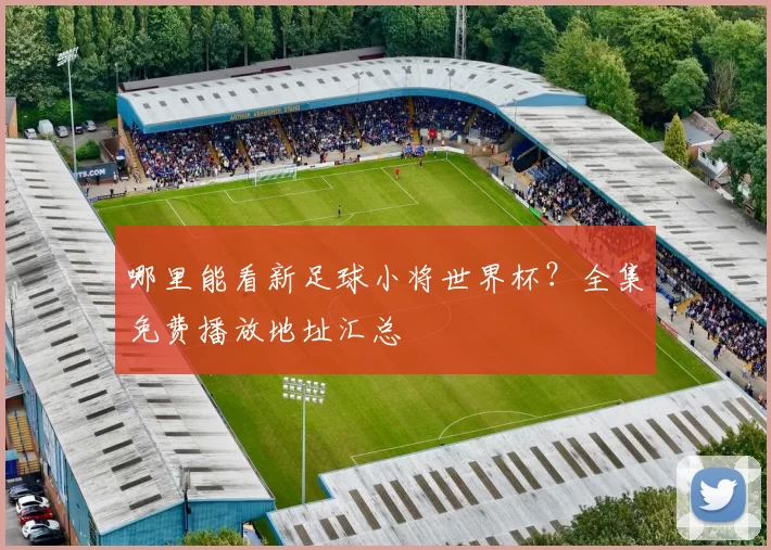 哪里能看新足球小将世界杯？全集免费播放地址汇总