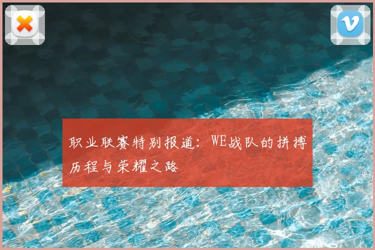 职业联赛特别报道：WE战队的拼搏历程与荣耀之路