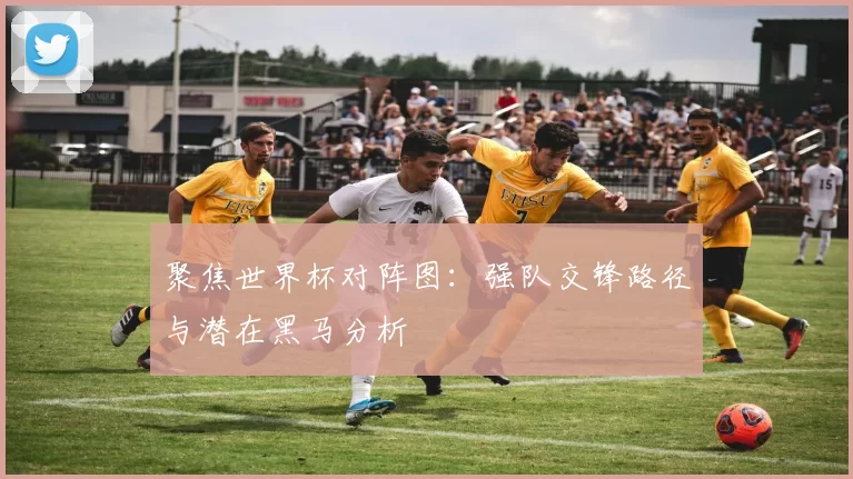 聚焦世界杯对阵图：强队交锋路径与潜在黑马分析