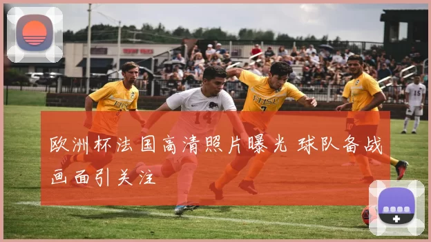 欧洲杯法国高清照片曝光 球队备战画面引关注