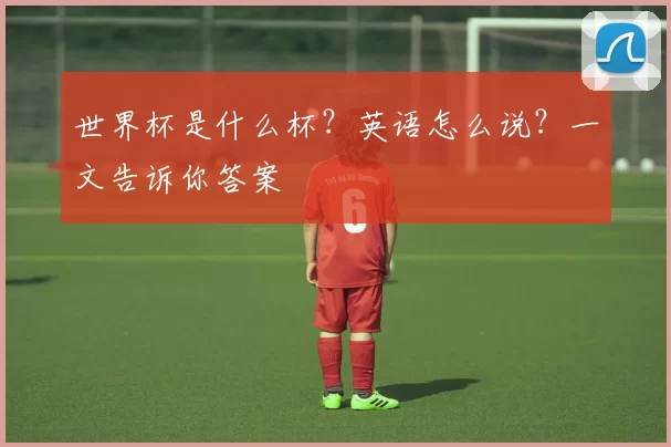 世界杯是什么杯？英语怎么说？一文告诉你答案