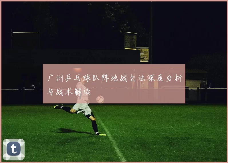 广州乒乓球队阵地战打法深度分析与战术解读
