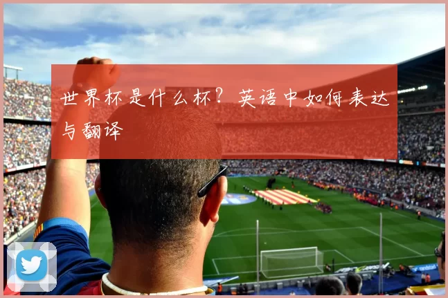 世界杯是什么杯？英语中如何表达与翻译