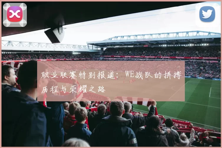 职业联赛特别报道:WE战队的拼搏历程与荣耀之路