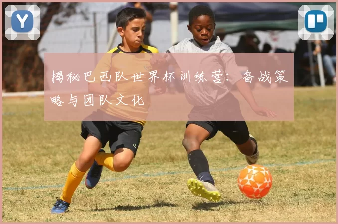 揭秘巴西队世界杯训练营：备战策略与团队文化